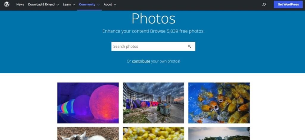 wordprss photo directory