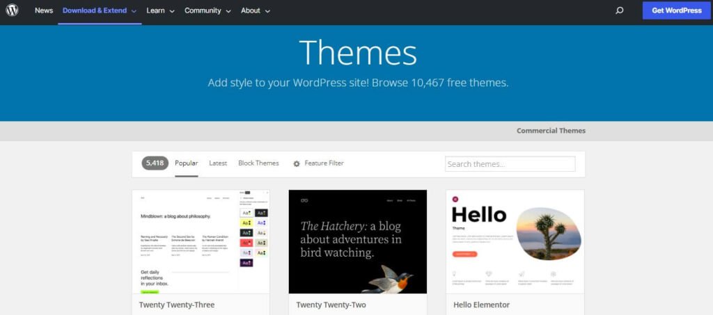 WordPress Themes