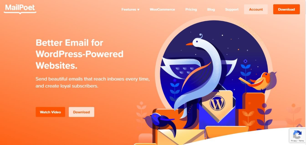 MailPoet Reviews