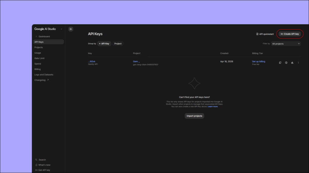 Google AI Studio API Key